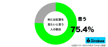 公園や街路樹でも楽しめる　約7割が「秋」に見たいと思う風物詩って？