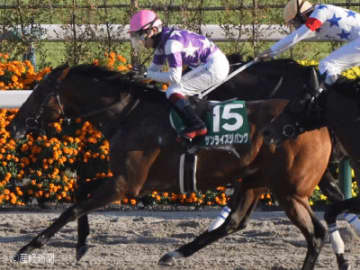 【みやこS】大崩れなし！上位人気で狙いたい存在とは！？種牡馬で見る攻略POINT