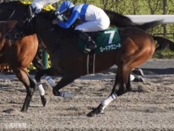 【みやこS】好走率高い！1頭軸マルチで狙える馬とは！？3連単を的中させる軸馬・相手馬の狙い方