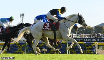 【アルゼンチン共和国杯】ＧⅠ組なら前走着順は気にしない！ 過去10年の傾向から考える攻略ポイント