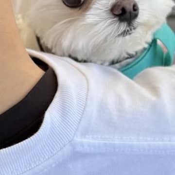 犬が『いつもと違う人』に抱っこでお外に連れていかれた結果→気づいた瞬間の『表情』に1万いいね「めちゃ心配そうで草」「連れ去られてる感ｗ」