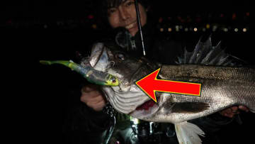 激推しルアーで“5日連続”東京湾のランカーを捕獲。ほかのビッグベイトとは違うポテンシャルを解説。「使い方としては…。」
