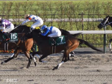 【みやこS】上位人気馬の凡走が目立つ！買ってはいけない馬券とは！？