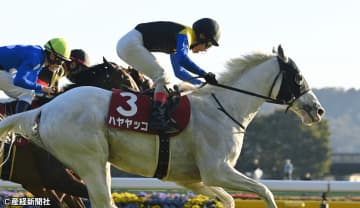 【アルゼンチン共和国杯】①人気軸が安牌か？ 過去10年の傾向から考える3連単を的中させる戦術とは