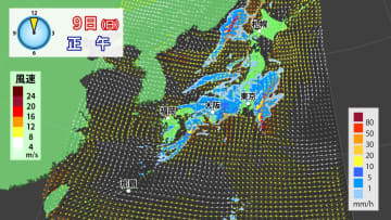 【9日(日)の天気】低気圧や前線が接近　広範囲でザーザー降りに　関東は師走並み寒さ