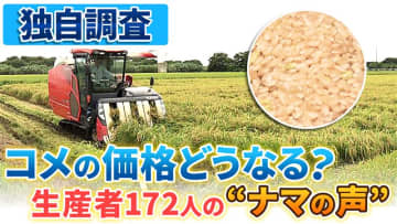 【独自調査】「安くしないと流通しない」　コメ生産者172人に聞いた“ナマの声”　半数近くが収穫量「増える」　価格高止まりのワケは…