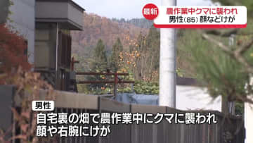 男性が自宅裏の畑でクマに襲われる　顔などにけが　秋田・仙北市