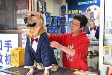 イヌの「店長」は集客の才能あり？―山西省太原市