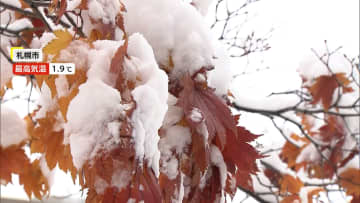一面「銀世界」に…札幌市では今年初の積雪で“冬の風物詩”「ササラ電車」初出動　代々木にも“雪”?「東京雪祭」で子どもたち大喜び！