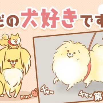 ただの犬好きです。【第336話】「チラ見せ」