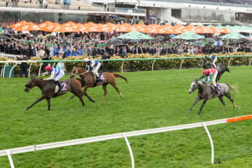 【豪クイーンエリザベスS】ゴールデンスナップは泥んこ馬場でもしぶとく3着…ゴールドシップ産駒らしいスタミナを発揮