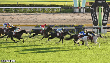 【アルゼンチン共和国杯】前走比10キロ以上の馬体減は厳しい！ 過去10年の傾向から見えてくる買えない馬とは？