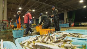 多様な人材が支える富山の漁業、人手不足解消への新たな取り組み 「男でも女でも外国人でも気にしない」