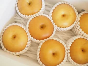 梨好きさん集合〜！箱買いしてもシワシワにさせない♪最後の1個まで“シャキ甘”キープする保存法