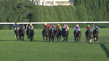 【アルゼンチン共和国杯&みやこS】東京2500mの特異舞台で繰り広げられるタフな王者決定戦！京都にはダート王フォーエバーヤングにゆかりのある馬たちが登場！