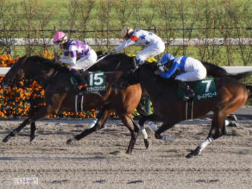 【みやこS】1頭も連対馬が出ていない！買ってはいけない馬券とは！？