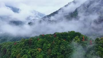 朝霧に包まれる古村落　中国安徽省