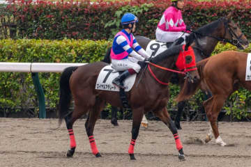 ロイヤルアデレードがデビュー戦で3着“ロイヤル”の名に恥じぬ末脚を披露…日曜劇場で話題