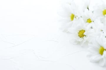 内縁の夫が亡くなりました。籍は入れていませんが、一緒に生活していました。遺族年金はもらえるのでしょうか？