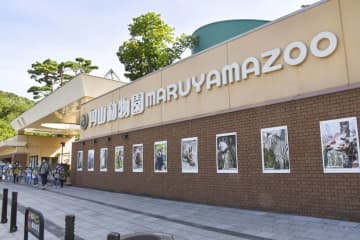 札幌・円山動物園にヒグマの足跡　フェンス越えたか、臨時閉園に