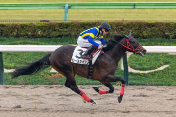 【新馬/東京6R】6番人気ピースサインがデビューV…断然人気ゲタリアは9着