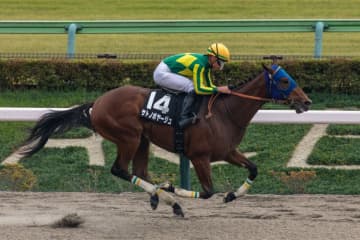 【オキザリス賞】サトノボヤージュが５馬身差圧勝