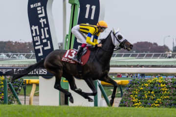 【アルゼンチン共和国杯】伏兵ミステリーウェイの大逃げ炸裂…人馬ともに重賞初制覇