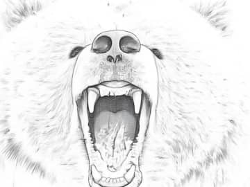 クマ外傷を診た形成外科医が解説 「もしもクマに襲われたら……」 覚えておくべき命を左右する応急手当