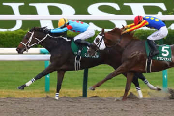 【みやこS】坂井瑠星騎乗 ダブルハートボンドが重賞初制覇…レコードで駆け抜ける