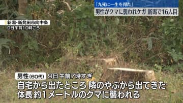 民家敷地内でクマに襲われ…男性ケガ　命に別条なし　新潟・新発田市