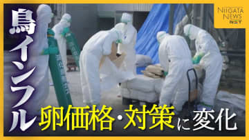 【鳥インフル】猛威振るった22年度に何が起きた!? 約257万羽殺処分で卵の価格や対策に変化