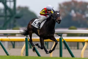 【東京1R】プーシャン騎乗 マカレイが人気に応える…最内から抜け出す