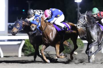 【高知・黒潮マイルCS】老いてなお強し！11歳馬グッドヒューマーが快勝