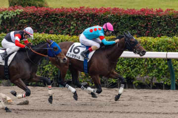 【東京2R】単勝1.4倍サンラザールが人気に応える