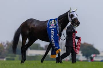 WIN5は554万円超の払戻し…アルゼンチン共和国杯は伏兵ミステリーウェイがV