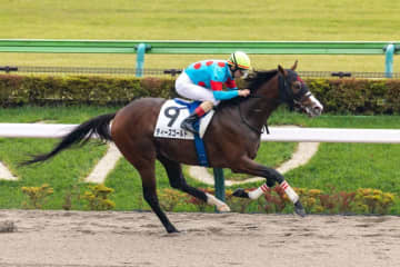 【東京7R】ルメール騎乗 ディーズゴールドが快勝