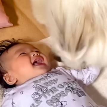 超大型犬が『初めて赤ちゃんに笑いかけてもらった』結果…『大好き』が溢れている行動が409万再生「母性愛」「相思相愛だね」現在の様子も