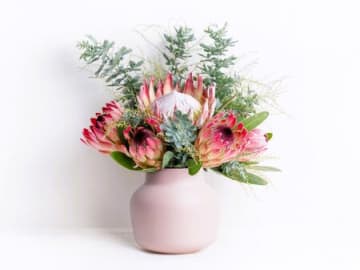 11月10日（月）今日は今月いちばんの超ラッキーデー！絶対やったほうがいいことがありますよ♪