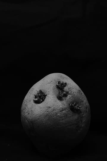 相原正明写真展：Katachi ～In&Out～