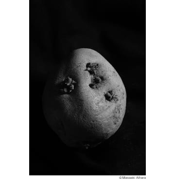 “我が家の台所に宇宙があった” 2つの世界を対比させた相原正明写真展「Katachi 〜in ＆ Out〜」