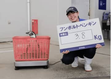 イルカやセイウチはどう量る？驚きの計量法とは！？鴨川シーワールド「計量記念日」の裏側を公開！