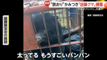 「今年のクマかなり危険」“凶暴クマ”鉄檻かみつき大暴れ…旅館に“居座り”も　死亡者数過去最多13人　「クマよけ鈴」生産追いつかず