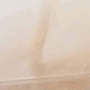 『部屋の中を元気に走り回る子猫』を撮影した結果…奇跡的な瞬間に２万いいねの反響「残像さえもかわいい」「心霊かなｗ」「うっすらと見える」