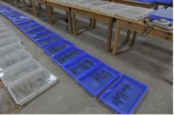 海昏侯墓考古学的調査、秦・漢時代の「詩経」全巻を初めて発見―中国