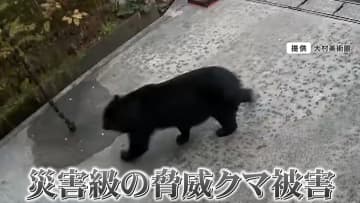 【過去最悪】「クマの動物園に入った気分」クマ人的被害相次ぐ秋田を取材　日常も一変「クマいたらどうすると家族で相談」