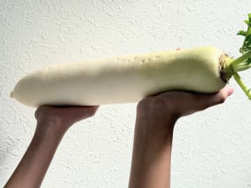 このしわしわの「大根」が復活？じつは冷凍もOK？驚きの“裏技”を八百屋が直伝