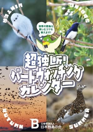 【無料プレゼント】野鳥の会スタッフが厳選！「超独断！バードウォッチングカレンダー」で日本の四季の野鳥を制覇！