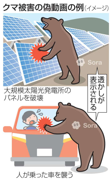 クマ被害、SNSで偽動画が拡散　生成AIで作成「信じる人多い」