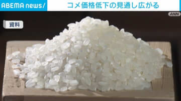 今後3カ月のコメ価格「下がる」見方強まる