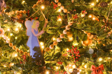 TDS、新たに15本ものクリスマスツリーが登場　オーナメントにはまさかの“隠れキャラ”も